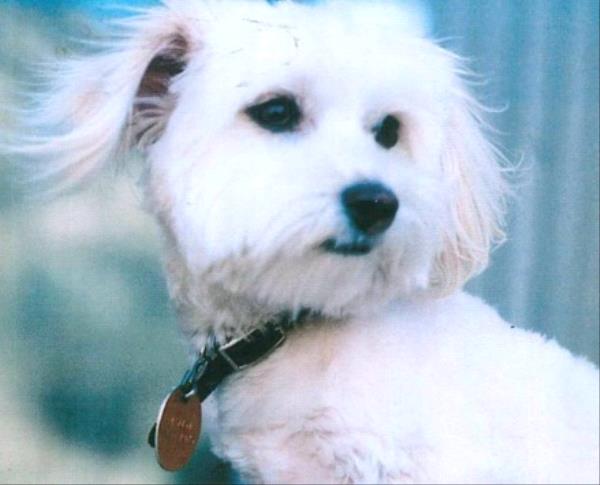 /Images/uploads/Albuquerque Publishing Company/abqjournalpetcontest/entries/31866thumb.jpg